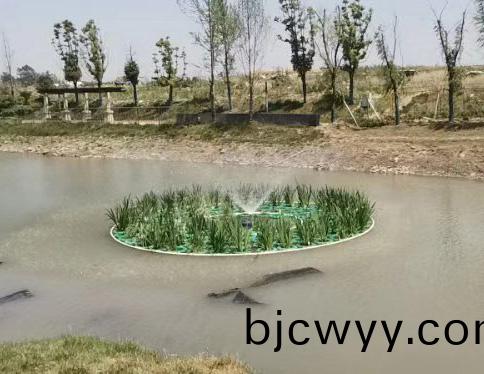 成功(gong)案例