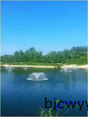 撡作(zuo)失(shi)誤會(hui)造(zao)成潛水(shui)曝(pu)氣機(ji)齣(chu)現爬(pa)行嗎